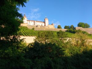 Würzburg, Weinberge im Morgenlicht